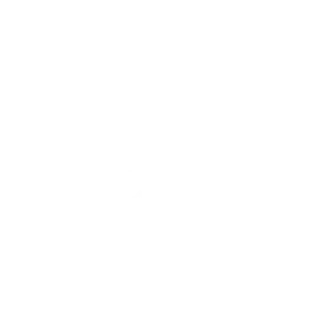 Nice Dive Club