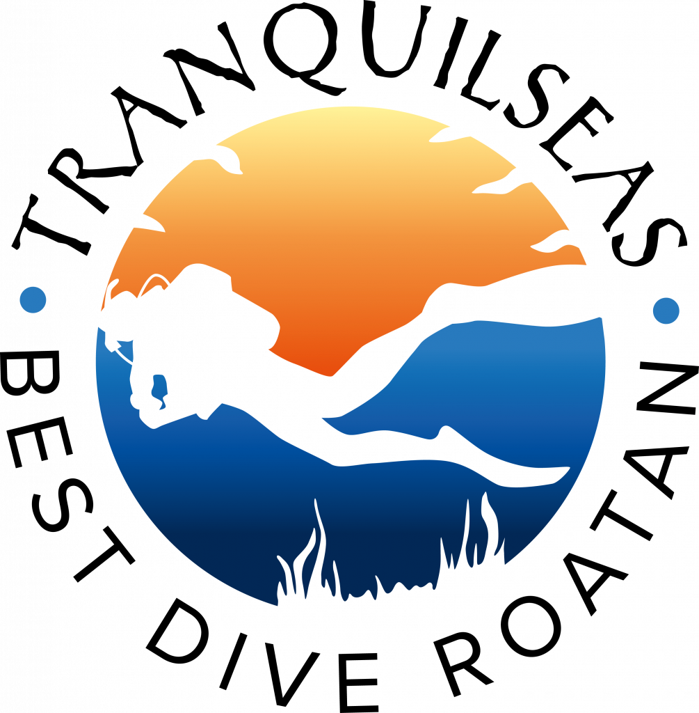 Tranquil Seas