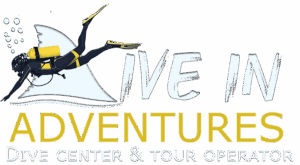 Dive In Adventure Tours